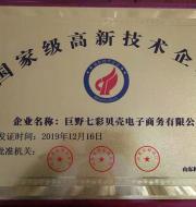 技術(shù)企業(yè)證書樣本